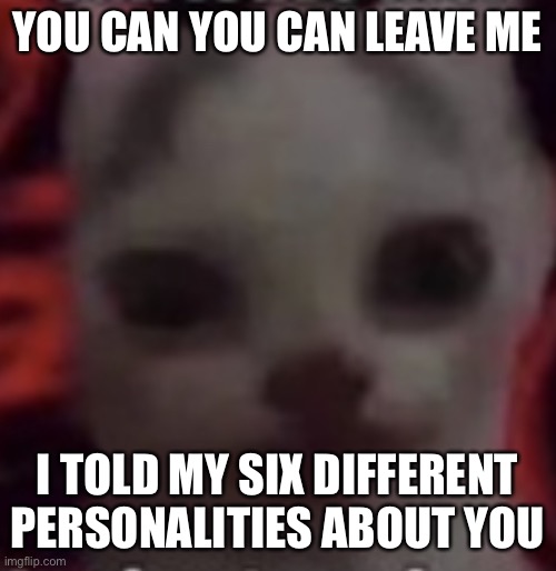 Cat | YOU CAN YOU CAN LEAVE ME; I TOLD MY SIX DIFFERENT PERSONALITIES ABOUT YOU | image tagged in cat | made w/ Imgflip meme maker