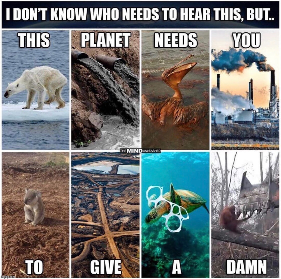 image tagged in environment | made w/ Imgflip meme maker
