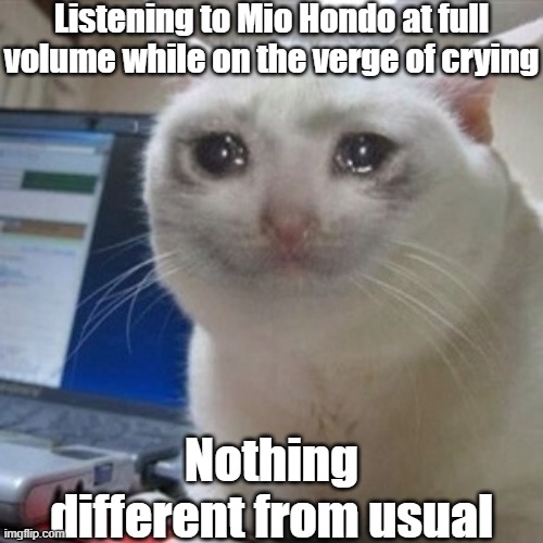 *sips juice* | Listening to Mio Hondo at full volume while on the verge of crying; Nothing different from usual | image tagged in crying cat | made w/ Imgflip meme maker