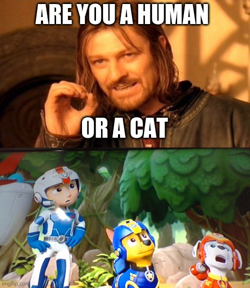 ARE YOU A HUMAN; OR A CAT | image tagged in memes,one does not simply | made w/ Imgflip meme maker