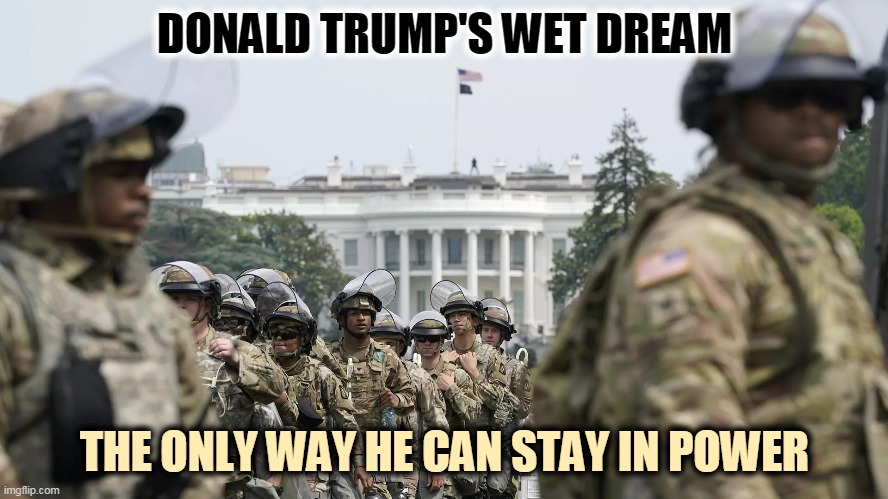 Trump may give orders, but the National Guard only obeys lawful orders. They're more likely to escort him from the building. | DONALD TRUMP'S WET DREAM; THE ONLY WAY HE CAN STAY IN POWER | image tagged in donald trump's wet dream,trump,coup,dictator,incompetence | made w/ Imgflip meme maker