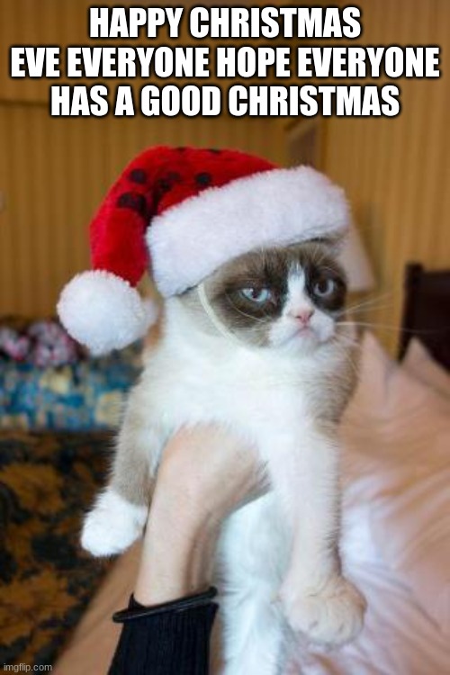 Grumpy Cat Christmas Meme | HAPPY CHRISTMAS EVE EVERYONE HOPE EVERYONE HAS A GOOD CHRISTMAS | image tagged in memes,grumpy cat christmas,grumpy cat,christmas,christmas eve | made w/ Imgflip meme maker