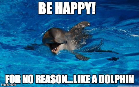 BE HAPPY!   FOR NO REASON...LIKE A DOLPHIN | image tagged in happyhappyhappy | made w/ Imgflip meme maker