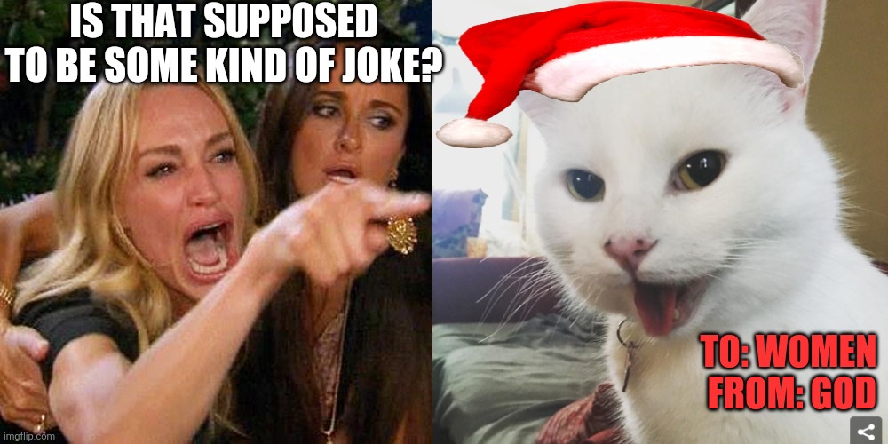 IS THAT SUPPOSED TO BE SOME KIND OF JOKE? TO: WOMEN 


FROM: GOD | image tagged in smudge the cat | made w/ Imgflip meme maker