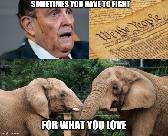 Merica | SOMETIMES YOU HAVE TO FIGHT; FOR WHAT YOU LOVE | image tagged in rudy giuliani | made w/ Imgflip meme maker
