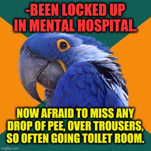 -Not so wanted place. | -BEEN LOCKED UP IN MENTAL HOSPITAL. NOW AFRAID TO MISS ANY DROP OF PEE, OVER TROUSERS, SO OFTEN GOING TOILET ROOM. | image tagged in memes,paranoid parrot,mental,hospital,be afraid,peeing | made w/ Imgflip meme maker