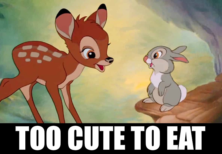 TOO CUTE TO EAT | made w/ Imgflip meme maker