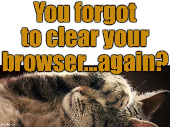 You forgot to clear your browser...again? | made w/ Imgflip meme maker