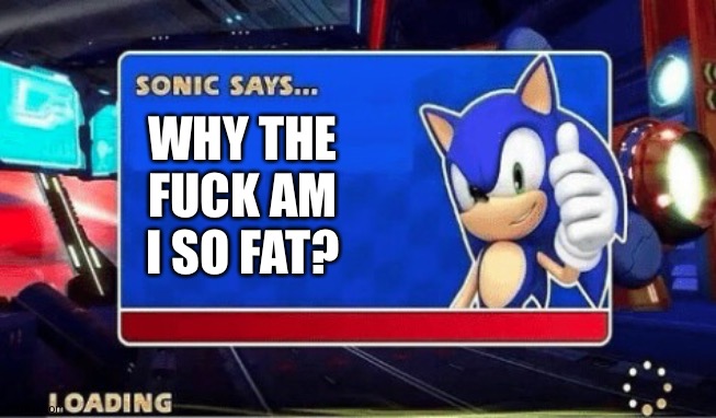 Sonic Says | WHY THE FUCK AM I SO FAT? | image tagged in sonic says | made w/ Imgflip meme maker