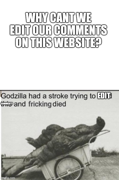 We need to edit comments | WHY CANT WE EDIT OUR COMMENTS ON THIS WEBSITE? EDIT; COMMENTS | image tagged in godzilla had a stroke trying to read this and fricking died,comments | made w/ Imgflip meme maker