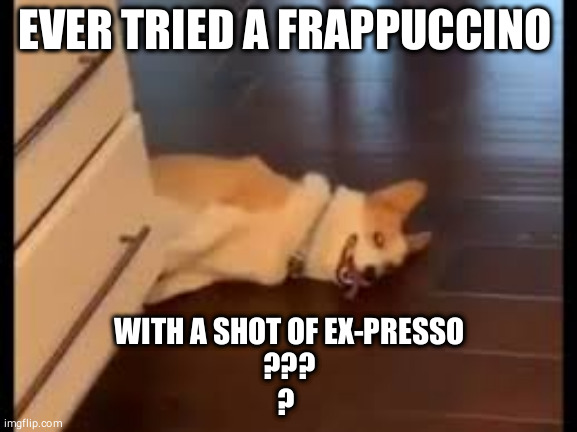 Crazy-good Coffee | EVER TRIED A FRAPPUCCINO; WITH A SHOT OF EXPRESSO
???
? | image tagged in funny memes,funny dog memes,funny animals,coffee addict,coffee,corgi | made w/ Imgflip meme maker