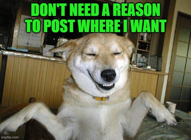 DON'T NEED A REASON TO POST WHERE I WANT | made w/ Imgflip meme maker