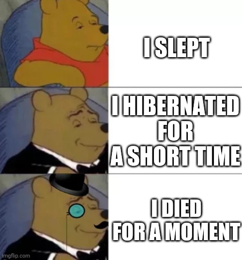 Fancy pooh | I SLEPT; I HIBERNATED FOR A SHORT TIME; I DIED FOR A MOMENT | image tagged in fancy pooh | made w/ Imgflip meme maker