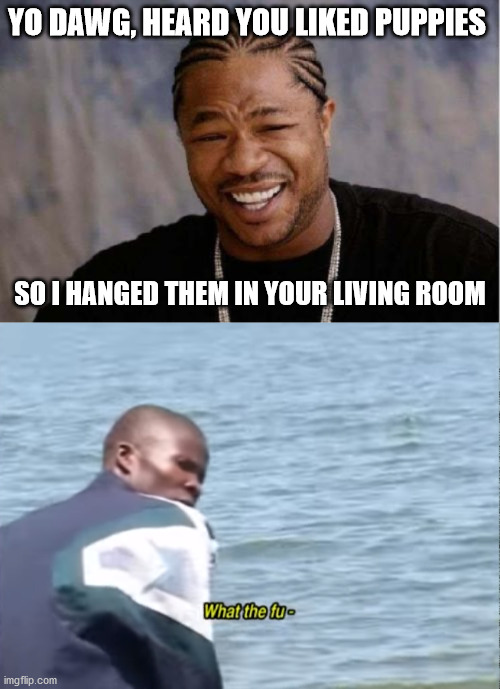 at least the place smells like puppies | YO DAWG, HEARD YOU LIKED PUPPIES; SO I HANGED THEM IN YOUR LIVING ROOM | image tagged in memes,yo dawg heard you,what the fu- | made w/ Imgflip meme maker