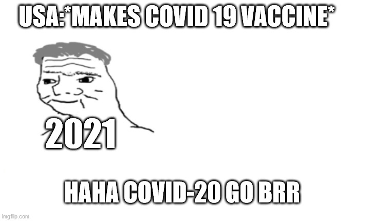 haha | USA:*MAKES COVID 19 VACCINE*; 2021; HAHA COVID-20 GO BRR | image tagged in nooo haha go brrr | made w/ Imgflip meme maker
