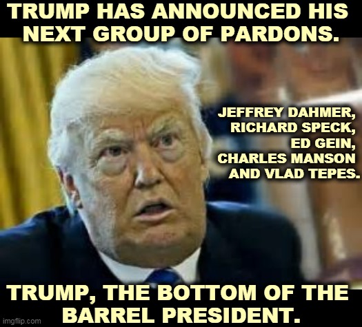 Our country is in the hands of one sick f*ck. | TRUMP HAS ANNOUNCED HIS 
NEXT GROUP OF PARDONS. JEFFREY DAHMER, 
RICHARD SPECK, 
ED GEIN, 
CHARLES MANSON 
AND VLAD TEPES. TRUMP, THE BOTTOM OF THE 
BARREL PRESIDENT. | image tagged in trump dilated loser,trump,corrupt,crazy,revenge | made w/ Imgflip meme maker