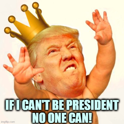 Boo Hoo | IF I CAN'T BE PRESIDENT
NO ONE CAN! | image tagged in trump,baby,infant,child,tantrum | made w/ Imgflip meme maker
