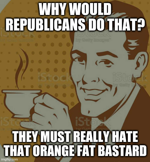 Mug Approval | WHY WOULD REPUBLICANS DO THAT? THEY MUST REALLY HATE THAT ORANGE FAT BASTARD | image tagged in mug approval | made w/ Imgflip meme maker