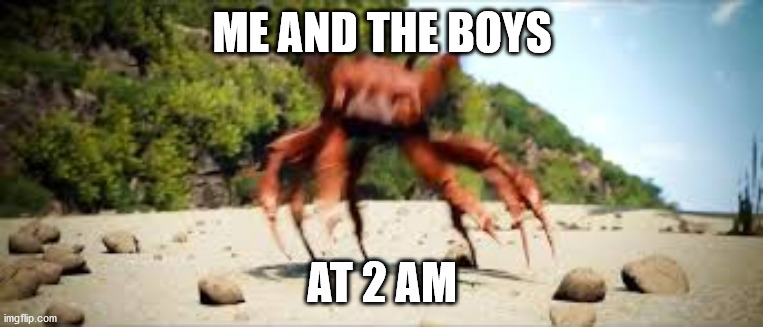 based on a true story | ME AND THE BOYS; AT 2 AM | image tagged in crab rave | made w/ Imgflip meme maker