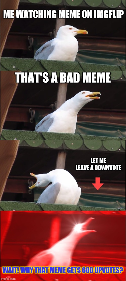 WHY | ME WATCHING MEME ON IMGFLIP; THAT'S A BAD MEME; LET ME LEAVE A DOWNVOTE; WAIT! WHY THAT MEME GETS 600 UPVOTES? | image tagged in memes,inhaling seagull,bad memes,upvotes,upvote if you agree | made w/ Imgflip meme maker