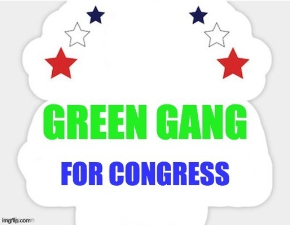 As the creator of the "Green Gang" slogan, I feel it is my duty to submit the first meme. | image tagged in green gang,memes,politics | made w/ Imgflip meme maker
