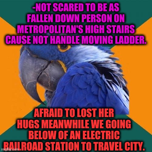 -Most important thing. | -NOT SCARED TO BE AS FALLEN DOWN PERSON ON METROPOLITAN'S HIGH STAIRS CAUSE NOT HANDLE MOVING LADDER. AFRAID TO LOST HER HUGS MEANWHILE WE GOING BELOW OF AN ELECTRIC RAILROAD STATION TO TRAVEL CITY. | image tagged in memes,paranoid parrot,metro,ladder,fallen soldiers,gf | made w/ Imgflip meme maker