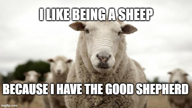Sheep |  I LIKE BEING A SHEEP; BECAUSE I HAVE THE GOOD SHEPHERD | image tagged in sheep | made w/ Imgflip meme maker