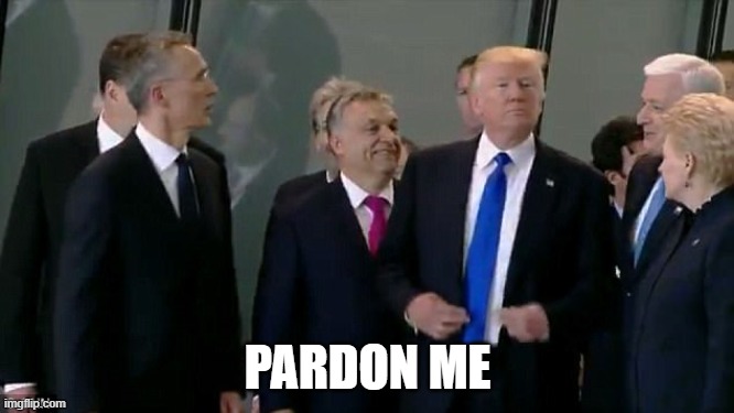 pardon | PARDON ME | image tagged in donald trump | made w/ Imgflip meme maker
