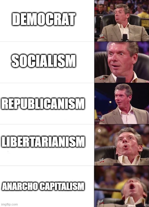 Vince McMahon Reaction | DEMOCRAT; SOCIALISM; REPUBLICANISM; LIBERTARIANISM; ANARCHO CAPITALISM | image tagged in vince mcmahon reaction | made w/ Imgflip meme maker