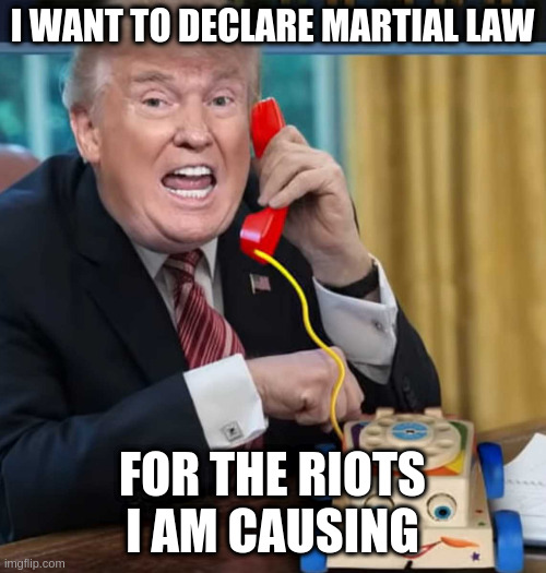 otherwise known as sedition, treason or being a very naughty boy | I WANT TO DECLARE MARTIAL LAW; FOR THE RIOTS I AM CAUSING | image tagged in i'm the president | made w/ Imgflip meme maker