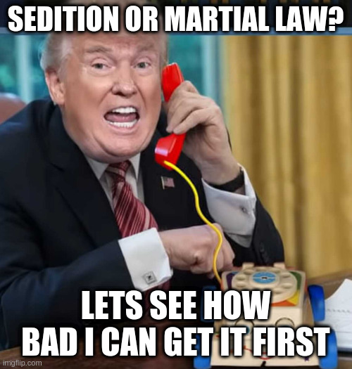 I'm the president | SEDITION OR MARTIAL LAW? LETS SEE HOW BAD I CAN GET IT FIRST | image tagged in i'm the president | made w/ Imgflip meme maker