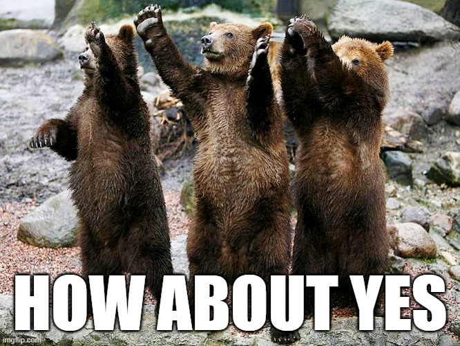 bears – how about yes | HOW ABOUT YES | image tagged in bears how about yes | made w/ Imgflip meme maker