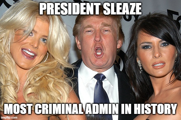 President Sleazebag | PRESIDENT SLEAZE; MOST CRIMINAL ADMIN IN HISTORY | image tagged in trump | made w/ Imgflip meme maker