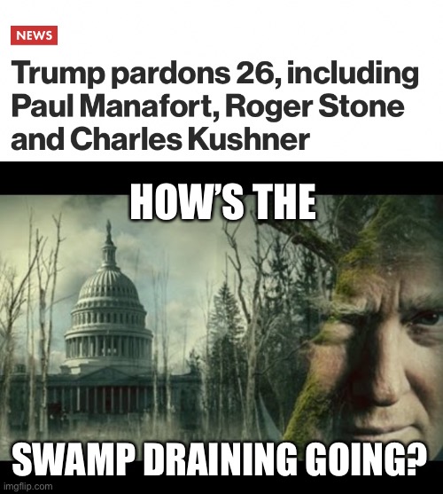 As I have said since forever, Trump never intended to drain the swamp, because he is the swamp. | HOW’S THE; SWAMP DRAINING GOING? | image tagged in drain the swamp,donald trump,pardons,corruption | made w/ Imgflip meme maker