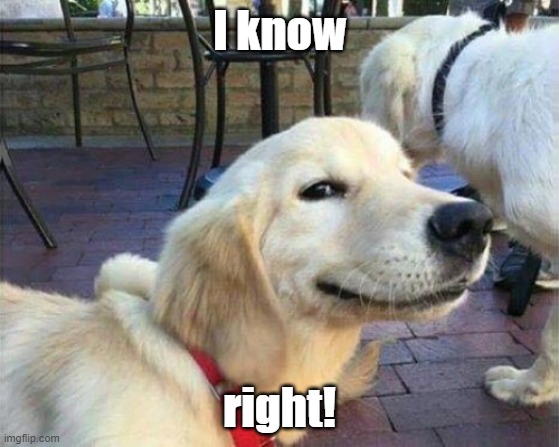 dog smiling | I know right! | image tagged in dog smiling | made w/ Imgflip meme maker