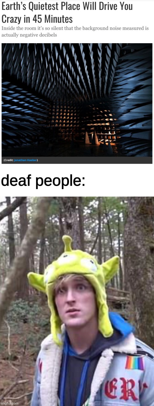 This place is nuts. | deaf people: | image tagged in blank white template,logan paul | made w/ Imgflip meme maker