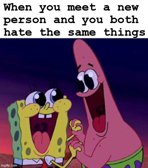 When you meet a new 
person and you both 
hate the same things | made w/ Imgflip meme maker