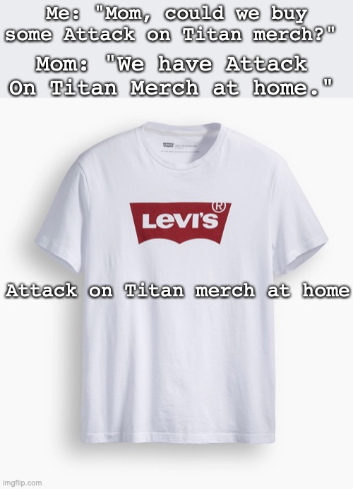 levis | Me: "Mom, could we buy some Attack on Titan merch?"; Mom: "We have Attack On Titan Merch at home."; Attack on Titan merch at home | image tagged in levis,attack on titan,anime,funny memes | made w/ Imgflip meme maker