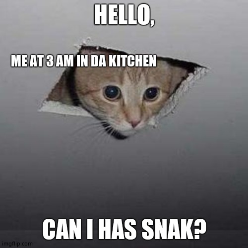 Ceiling Cat Meme | HELLO, ME AT 3 AM IN DA KITCHEN; CAN I HAS SNAK? | image tagged in memes,ceiling cat | made w/ Imgflip meme maker
