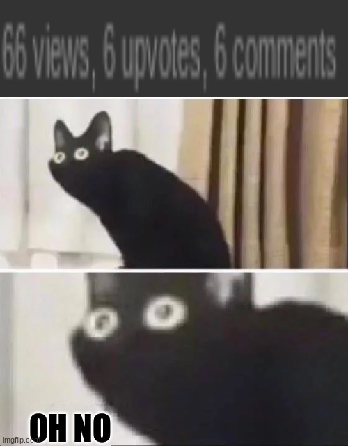 6666 | OH NO | image tagged in oh no black cat | made w/ Imgflip meme maker