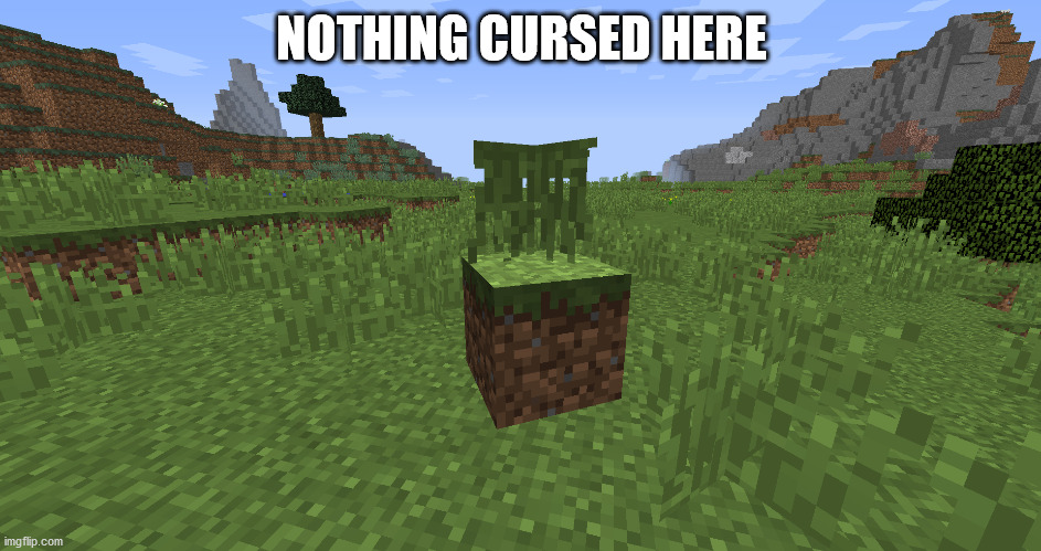 cursed | NOTHING CURSED HERE | image tagged in minecraft | made w/ Imgflip meme maker