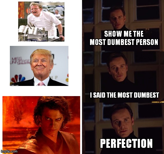 perfection | SHOW ME THE MOST DUMBEST PERSON; I SAID THE MOST DUMBEST; PERFECTION | image tagged in perfection,chef gordon ramsay,donald trump,anakin skywalker | made w/ Imgflip meme maker