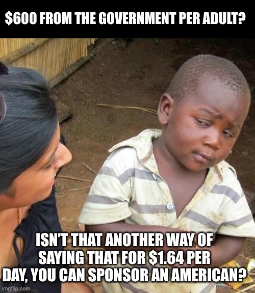 Sponsor an American | $600 FROM THE GOVERNMENT PER ADULT? ISN’T THAT ANOTHER WAY OF SAYING THAT FOR $1.64 PER DAY, YOU CAN SPONSOR AN AMERICAN? | image tagged in memes,third world skeptical kid | made w/ Imgflip meme maker