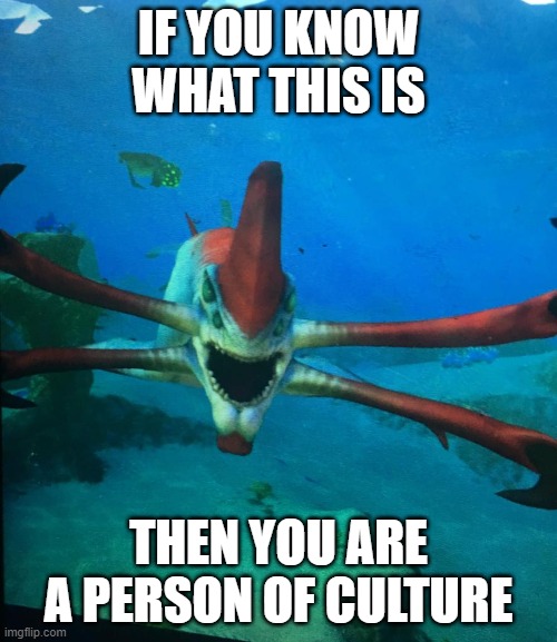 There are no tags here | IF YOU KNOW WHAT THIS IS; THEN YOU ARE A PERSON OF CULTURE | made w/ Imgflip meme maker