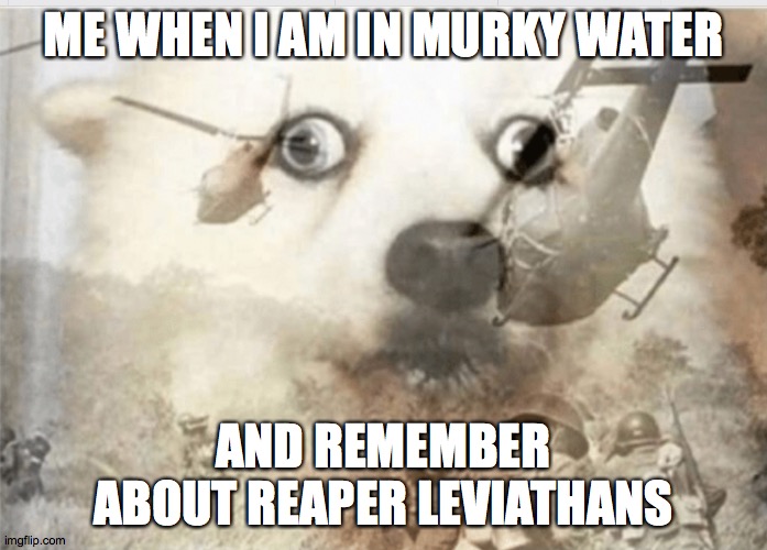 I WILL MAKE A SUBNAUTICA MEME EVERY DAY UNTIL SUBNAUTICA:BELOW ZERO IS RELEASED DAY 11 | ME WHEN I AM IN MURKY WATER; AND REMEMBER ABOUT REAPER LEVIATHANS | image tagged in ptsd dog,subnautica | made w/ Imgflip meme maker