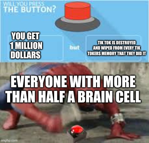 will you press the button? | YOU GET  1 MILLION DOLLARS; TIK TOK IS DESTROYED AND WIPED FROM EVERY TIK TOKERS MEMORY THAT THEY DID IT; EVERYONE WITH MORE THAN HALF A BRAIN CELL | image tagged in will you press the button | made w/ Imgflip meme maker