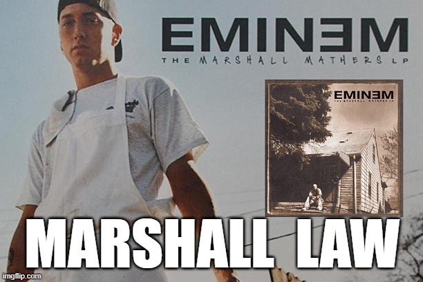 Marshall Law | MARSHALL  LAW | image tagged in marshall law,martial law | made w/ Imgflip meme maker