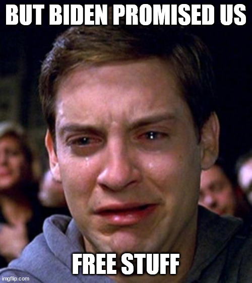 crying peter parker | BUT BIDEN PROMISED US FREE STUFF | image tagged in crying peter parker | made w/ Imgflip meme maker