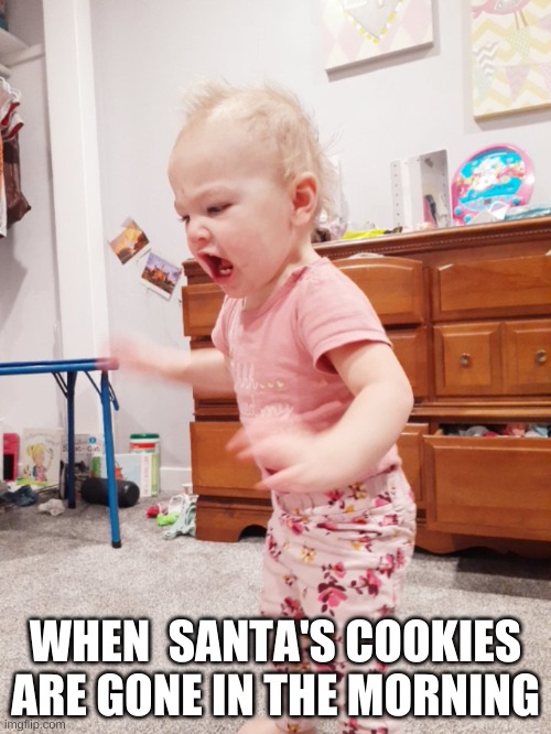 That's my little sister lol | WHEN  SANTA'S COOKIES ARE GONE IN THE MORNING | image tagged in santa,screaming,baby,christmas | made w/ Imgflip meme maker