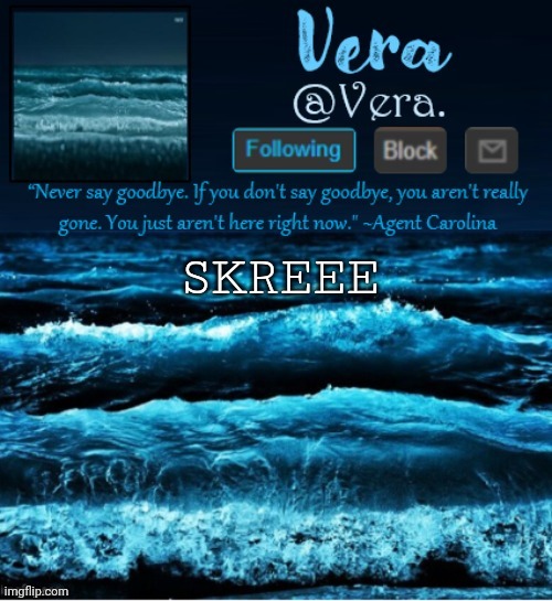 e | SKREEE | image tagged in a n n o u n c e r e v i s e d | made w/ Imgflip meme maker